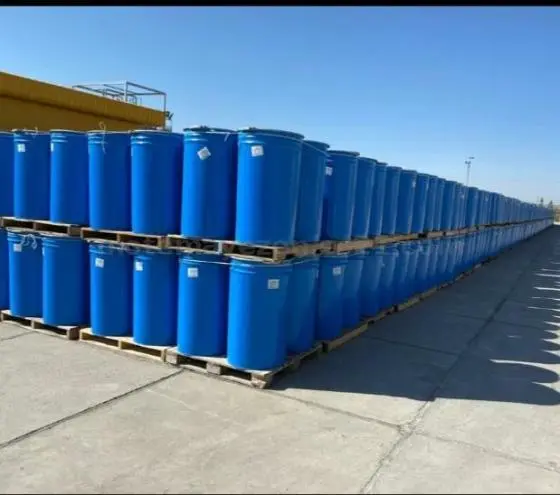 Dingang (Shandong) Food Co.,LTD company overview - view 1