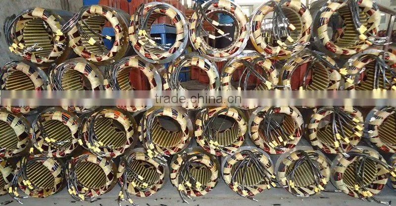 Asynchronous and Three-phase vibration motor company