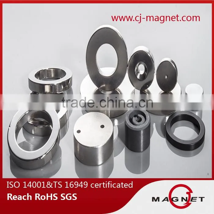 Ring magnet, Segment magnet,Neodymium magnets CRS1