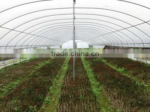 Vertical Wind Tunnel Greenhouse