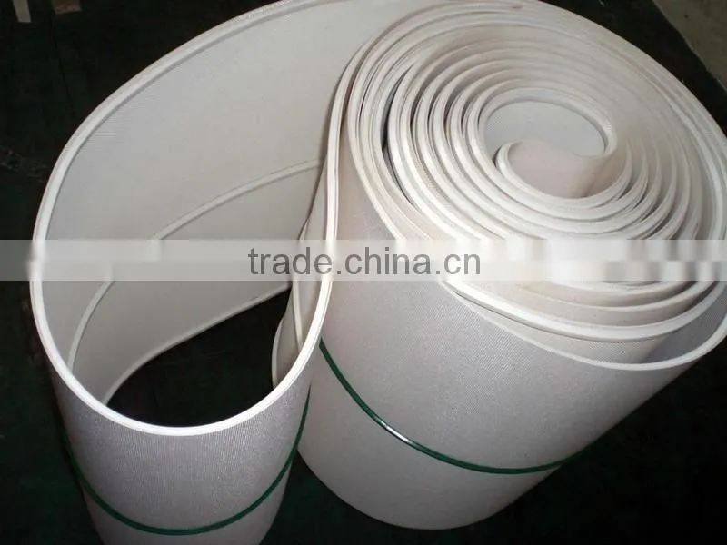 Adjustable speed vegetable belt conveyor price
