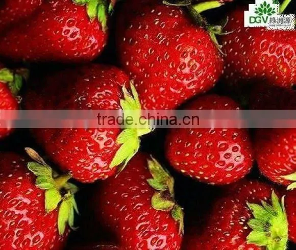 frozen strawberry