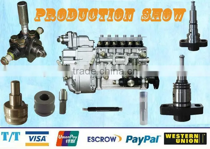 PW5 diesel Pump Plunger barrel assembly