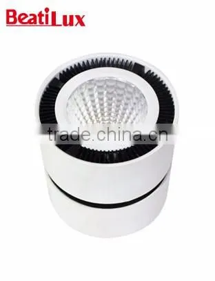 SAA Approved White/chrome LED Surface Mounted Downlight with 12w