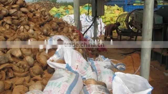 Coir Pith Dryer Coco peat Dryer Coco Block Dryer Coco pith dryer coir peat coir clock drier bagasse