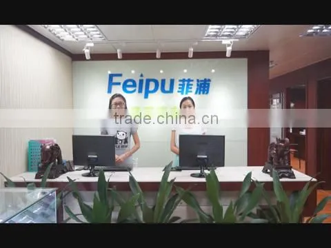 Shenzhen Feipu Communication Technology Co., Ltd. company overview - view 1
