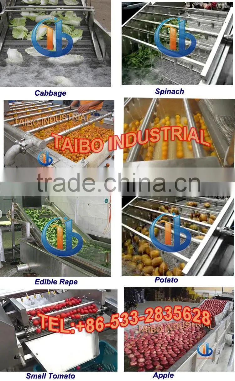 Ozone Fruit and Vegetable Washer /Vegetable Washing Machine