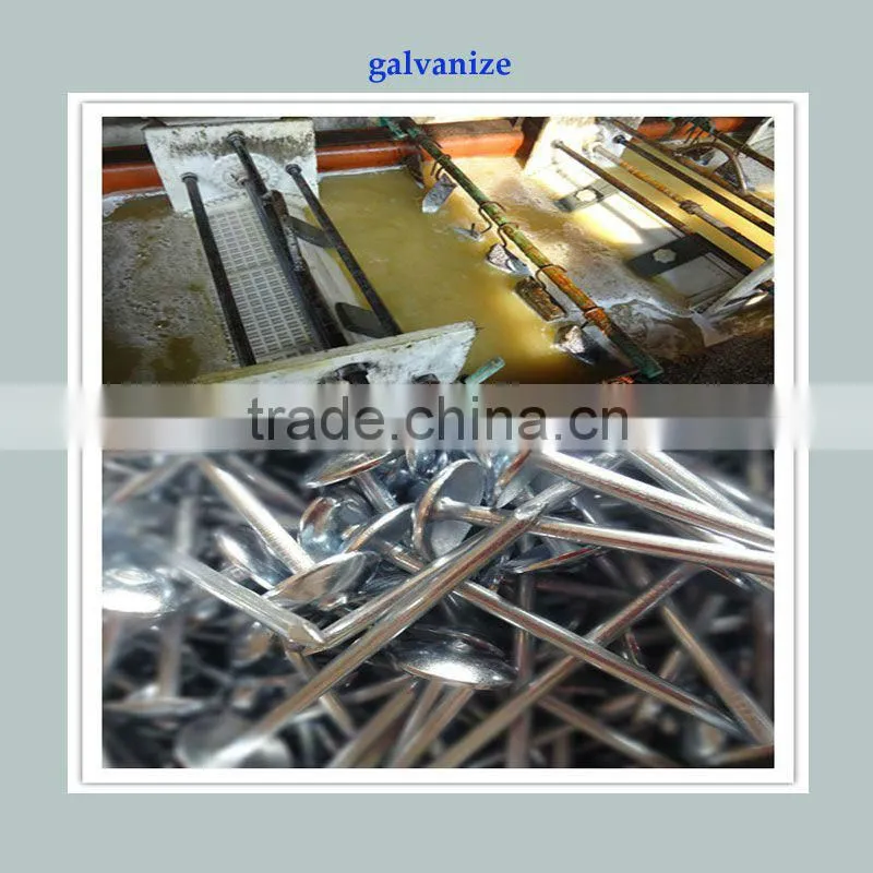 galvanized ring shank roofing nail with umbrella head