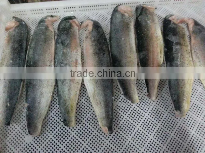 2016 high quality of New coming Frozen Mihi Mhi fillet for sale