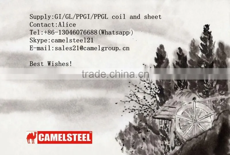 Hot dipped Galvanized Steel strip