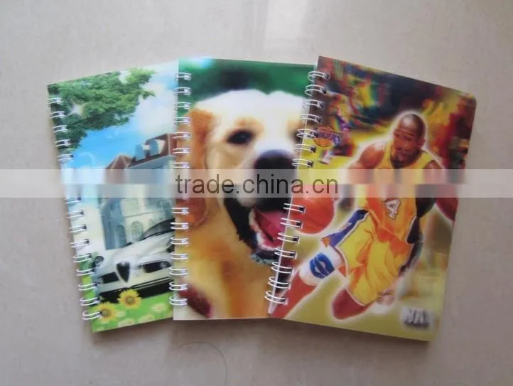 3D PET lenticular cover spiral pocket notebook