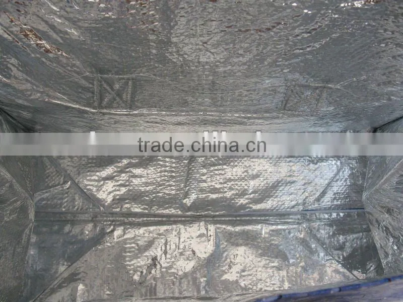 bagged ice storage box