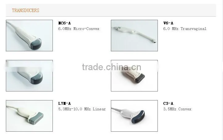 NEW Ultrasound Scanner ECO1 with 2.5-5.0MHz Convex probe for abdoment OB GYN Urology Vascular Small parts pediatrics cardiology