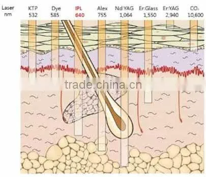 Super elight machine epilation skin renewing