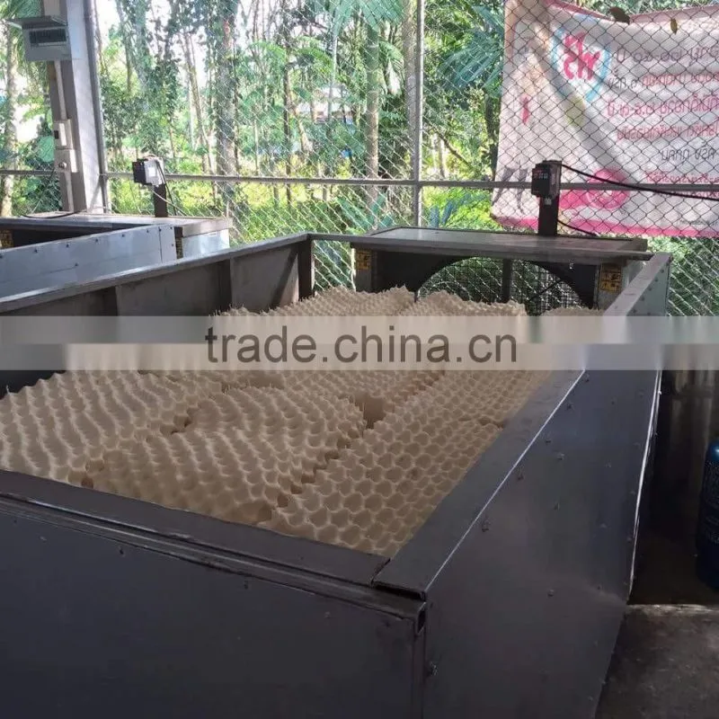 Natural Latex Pillow Thailand