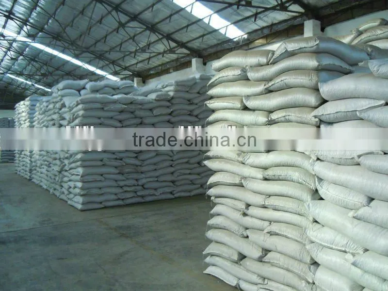Sale light speckled kdiney bean long shape