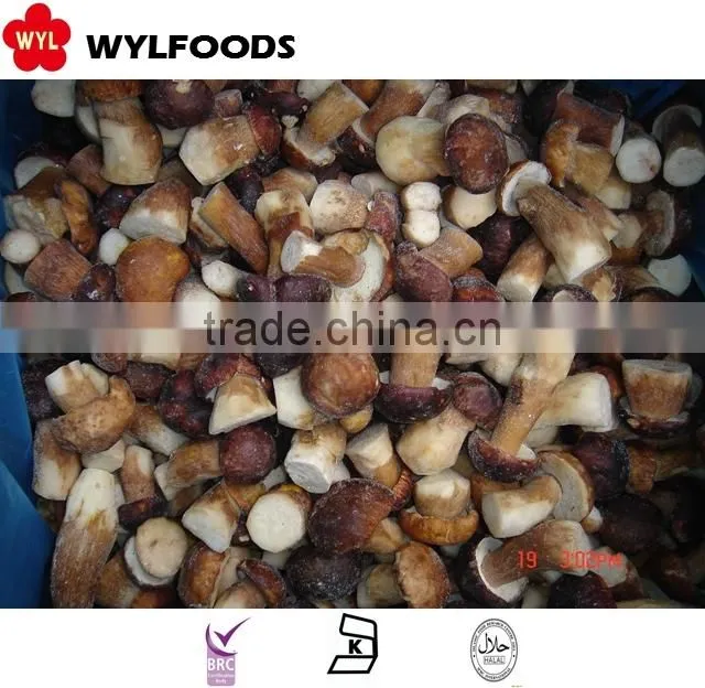 china good price frozen Boletus edulisfrozen mushroom