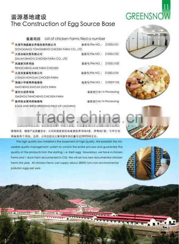 Whole Egg Powder (egg powder,dried whole egg powder)