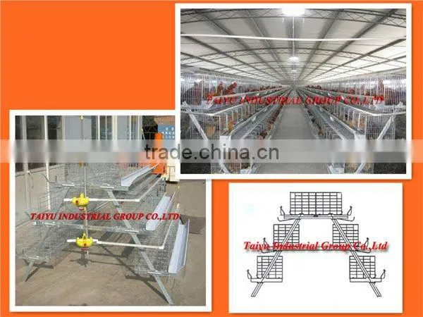 layer poultry cages for Nigeria/africa