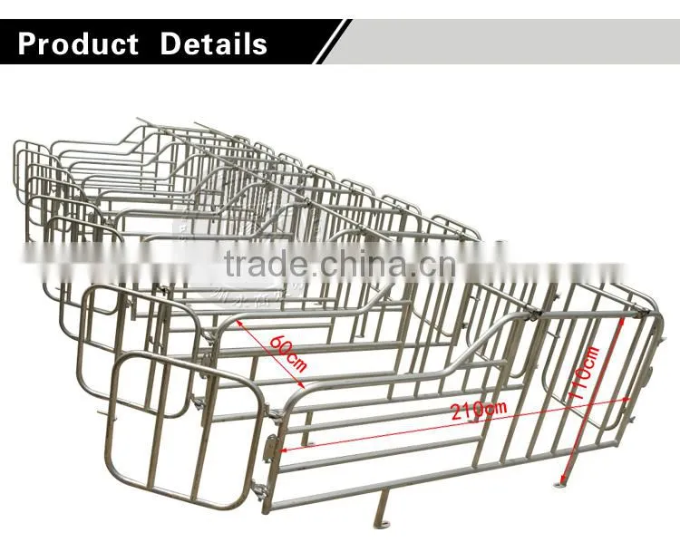 Pig Farming Equipment,Double Limiting Crate