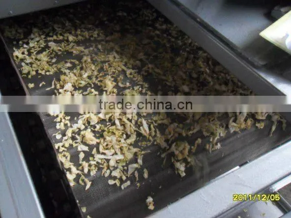 DWF mesh belt dryer