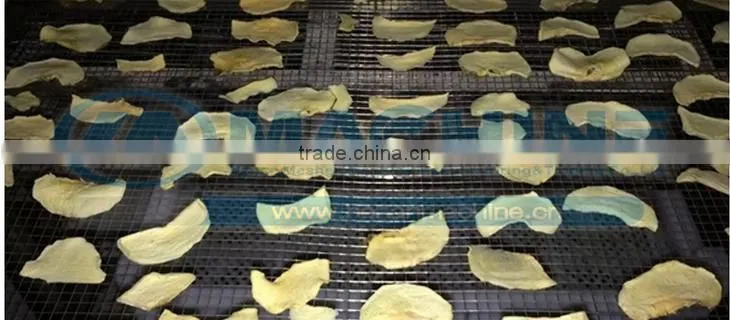 Stainless fruits dryer machine with lowest price