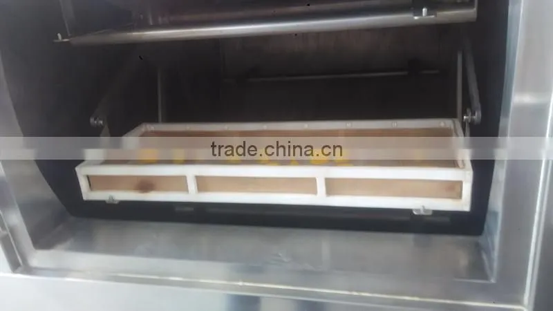 Tropical Food Machinery Mango Processing