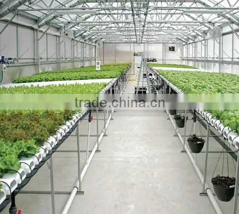 searea greenhouse plastic seed tray for greenhouse hydroponic lettuce