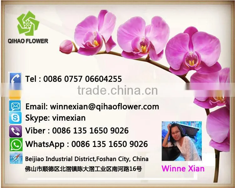 Realtouch orchid artificial flower arragements with flowers pots