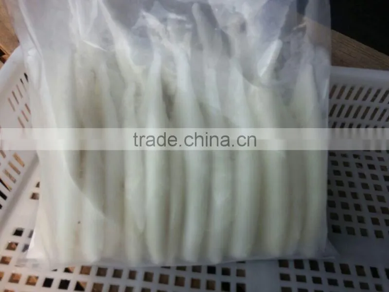 Seafood Frozen Illex Argentina Squid Tube