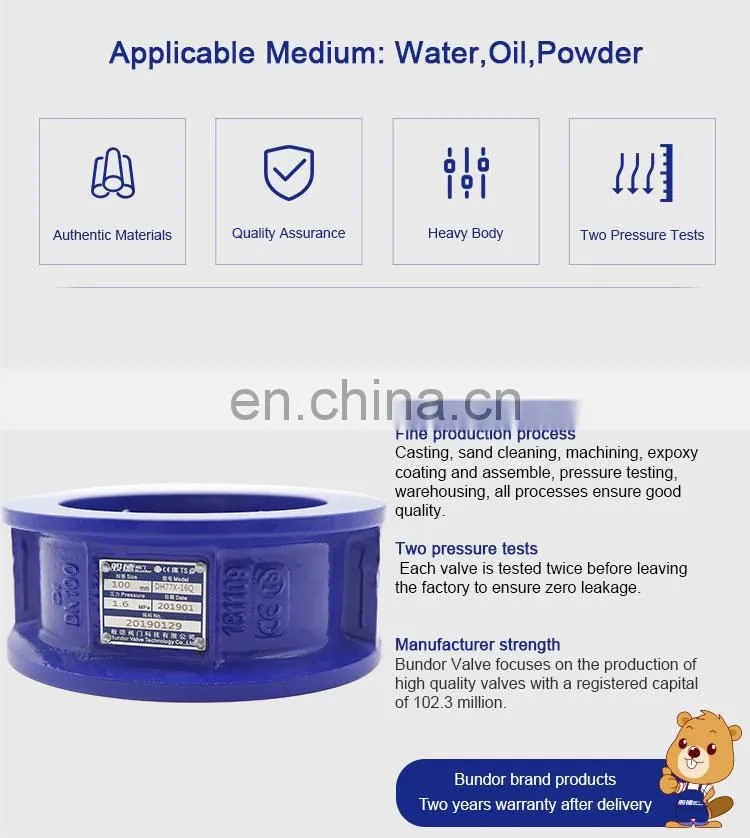 Bundor factory price class150 ductile iron automatic wafer dn80 non return valve