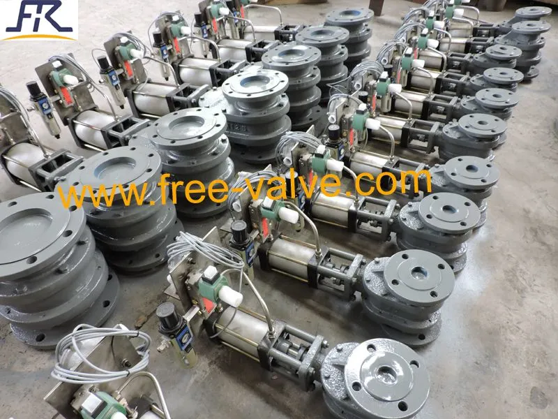 DSCN4432 Pneumatic Metal Seated Double Disc Gate Valve
