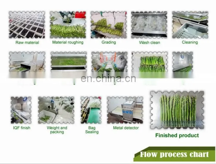China Frozen Vegetable Production Line/Green Peas Quick Freezing Processing machine