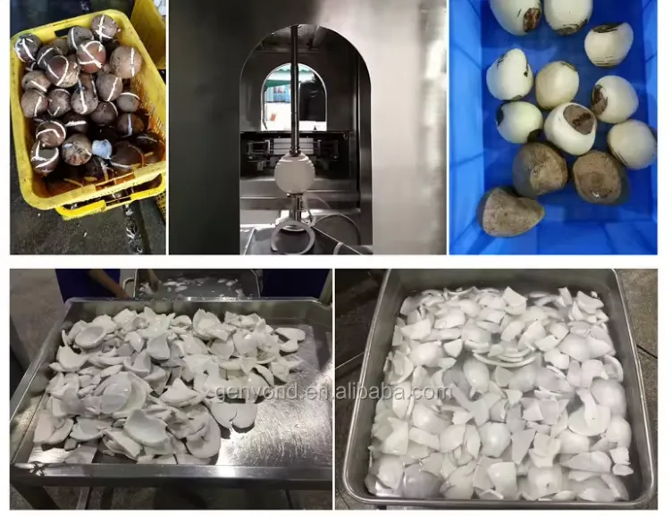 500kg/h Coconut Chips Processing Machines Production Line