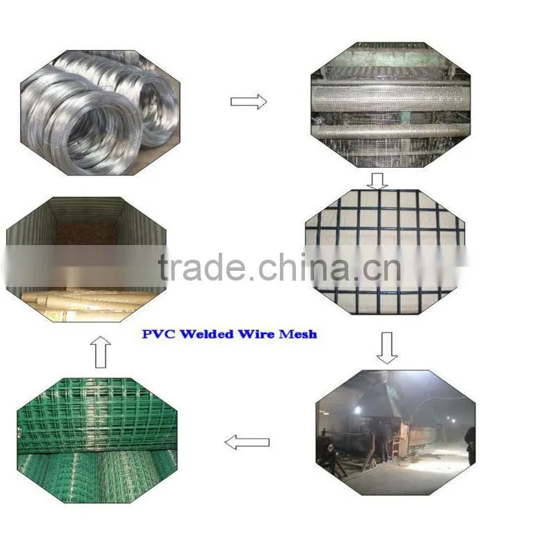 Shuolong Good Price High Quality 2x2 galvanized welded wire mesh for fence panel