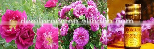 hot sale pure and natural essential oil extracting machinery, essential oil extractor