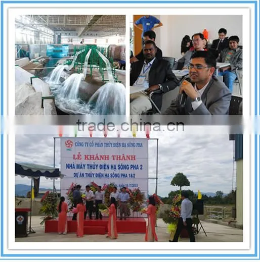 Hydropower Consultancy/Technical Consultancy/Engineering Design