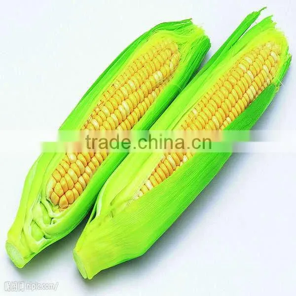 Easy Operation Multifunctional Corn Peeling Machine
