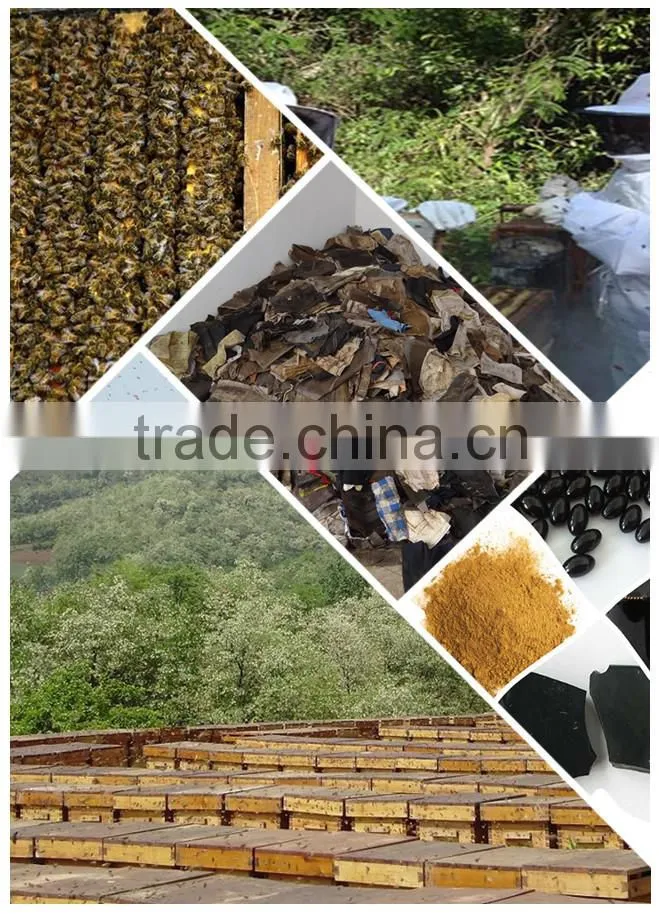 hot sale raw bee propolis