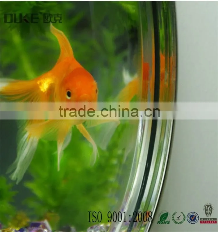 high clear eco-friendly hang on the wall acrylic fish tank cheap price