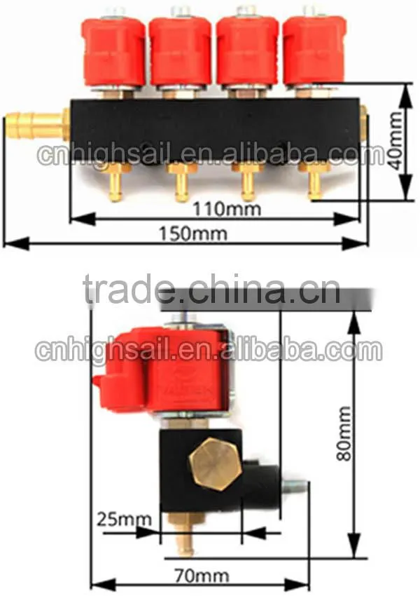 Super Performance CNG Injectors Rail