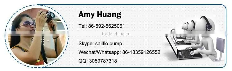 Sailflo FL-3203 12V 24V high pressure water pump for agriculture and car