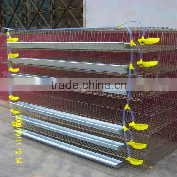 zhenhua chicken breeding cage/Chicken layer cages/ Laying chicken cages