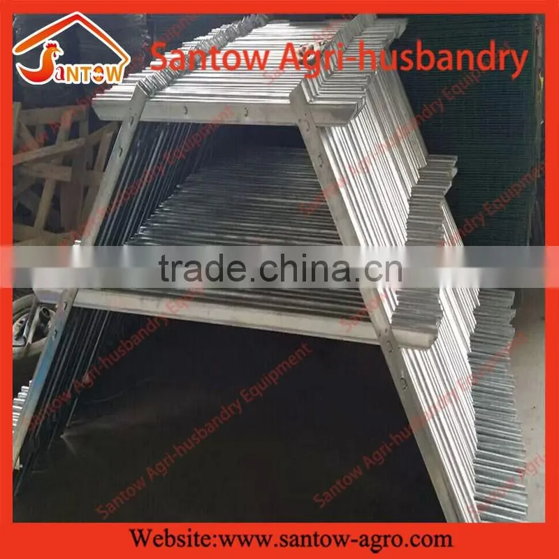 automatic poultry equipments egg layer chicken battery cage
