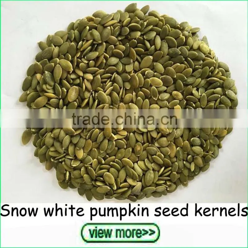 2016 Crop small size white kidney beans navy beans