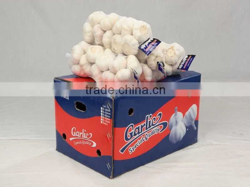 Laiwu 5.5 natural white fresh garlic