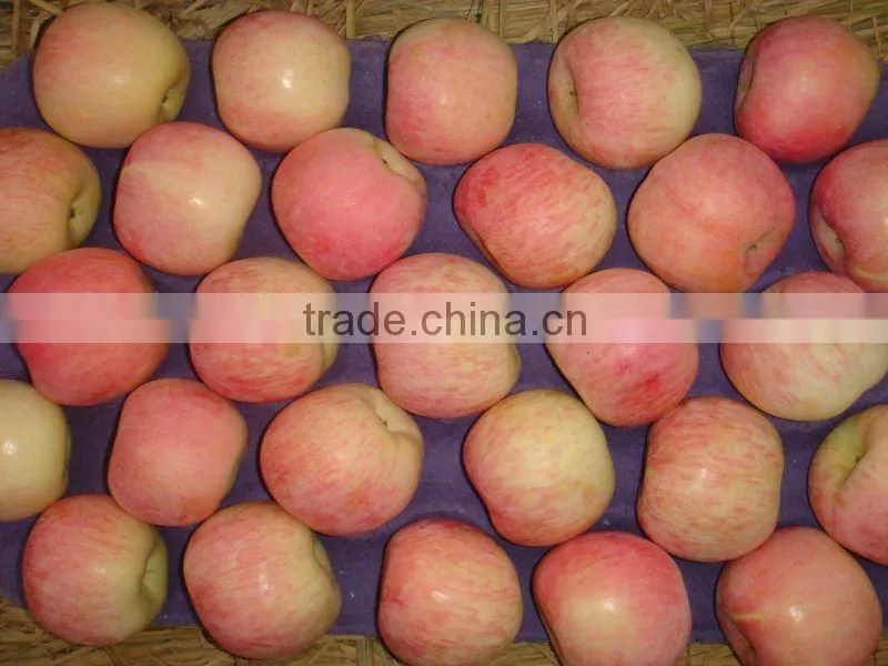 Chinese Fresh Fuji Apple NEW HOT!!