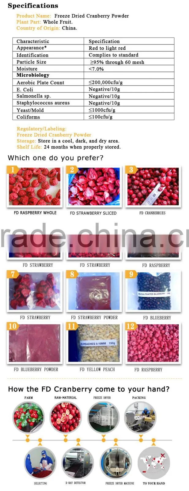 High quality FD cranberry powder