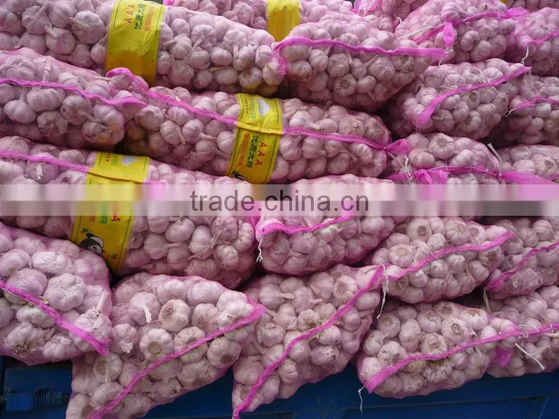 Exported Chinese 2015 New Crop Fresh Natural White Garlic 5 CM