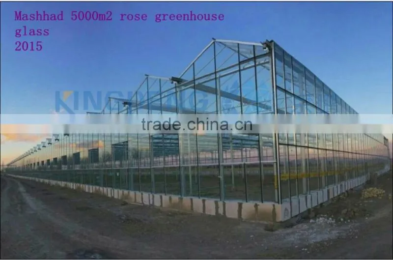commercial rose multi-span glass green house for sale
